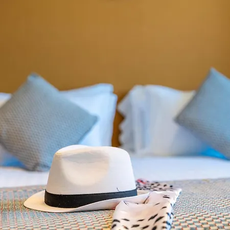 Renove Casa Moho -